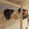 Large photos on canvas displayed during Photo exhibition